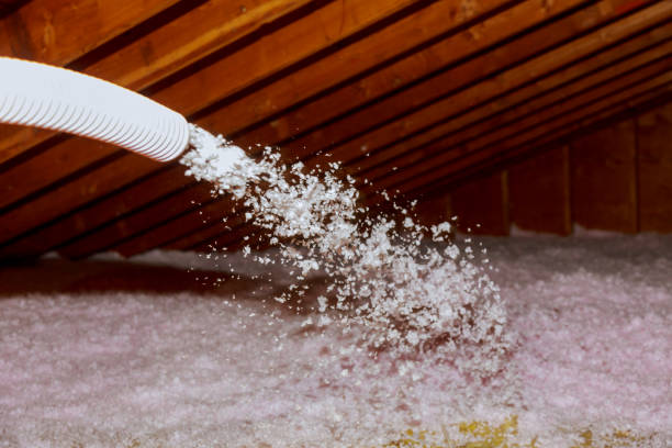 Best Blown-in Insulation  in Long View, NC