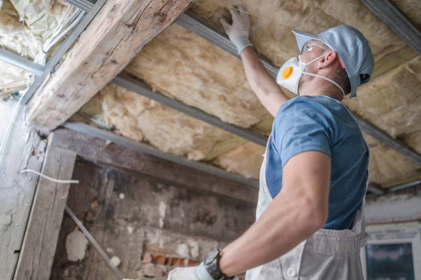 Best Residential Insulation Services  in Long View, NC