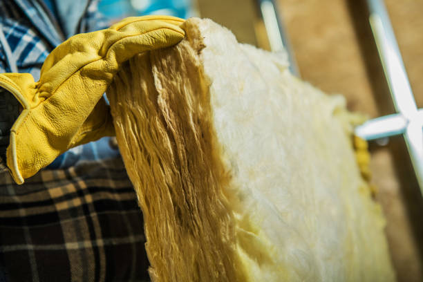Best Spray Foam Insulation  in Long View, NC