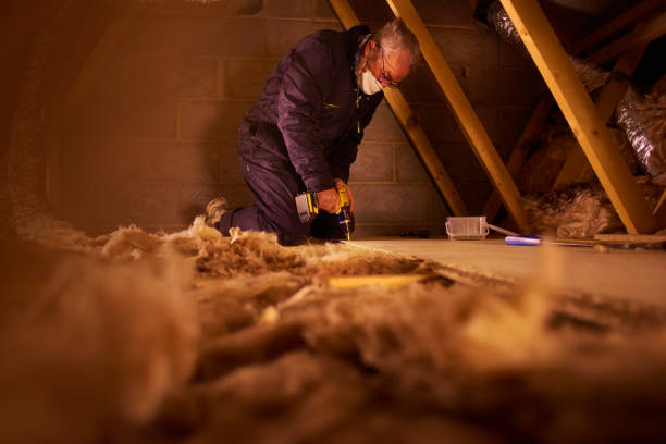 Best Insulation Contractor Near Me  in Long View, NC